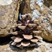 Brown things 