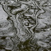 Ripples 14