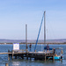 The Holding Jetty