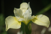 12th Jun 2025 - Surprise