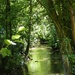 Pickering Beck