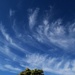 Beautiful Feathery Clouds ~