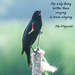 More Singing...