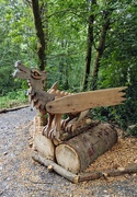 16th Jun 2025 - Longwood dragon