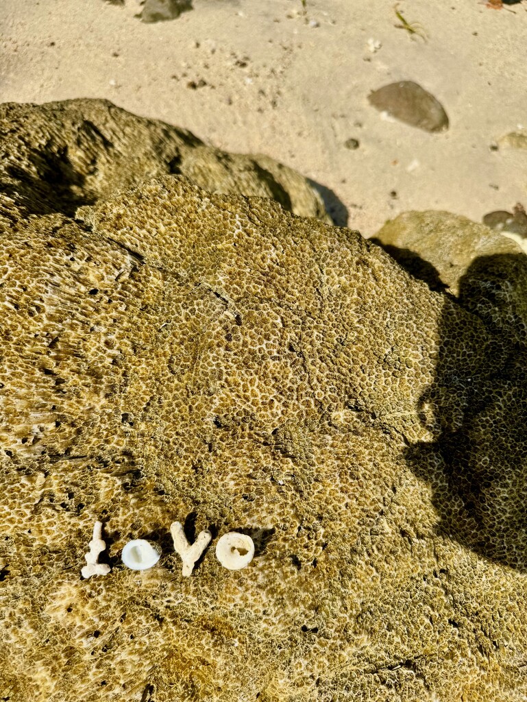 Love in Flores.  by cocobella