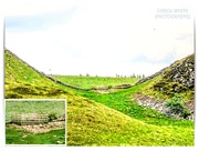 17th Jun 2025 - Sycamore Gap,Hadrian's Wall