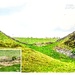 Sycamore Gap,Hadrian's Wall