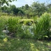 Pond at Quarry Bank Mill