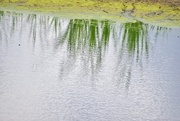 15th Jun 2025 - Reflecting...