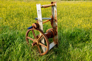 17th Jun 2025 - Old Winch