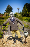 14th Jun 2025 - Digory the scarecrow