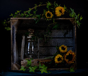 18th Jun 2025 - Still Life with Sunflowers