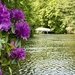 Hartsholme Lake
