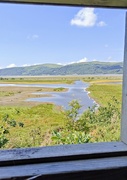 18th Jun 2025 - View from.the hide
