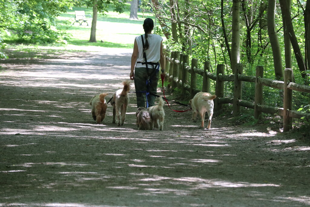Sharing the Path by 365projectorgheatherb
