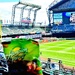 Peanuts and Baseball