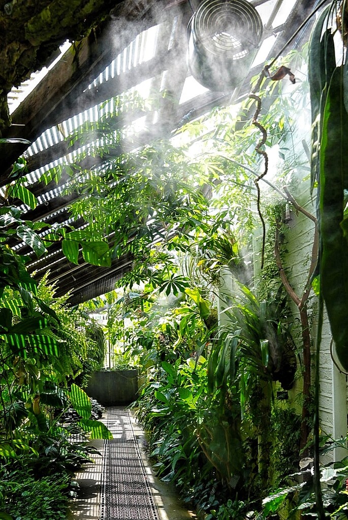 Glasshouse in the Chelsea Physic Garden  by 30pics4jackiesdiamond