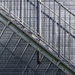 Stairs with shadow