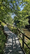 19th Jun 2025 - River Teifi at Cenarth
