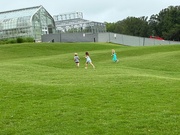 20th Jun 2025 - Summer Joy