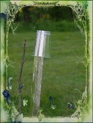 13th Jun 2025 - This is No Fairy Tale...It's Junk!