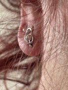 17th Jun 2025 - My new earrings 