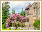 20th Jun 2025 - Cragside