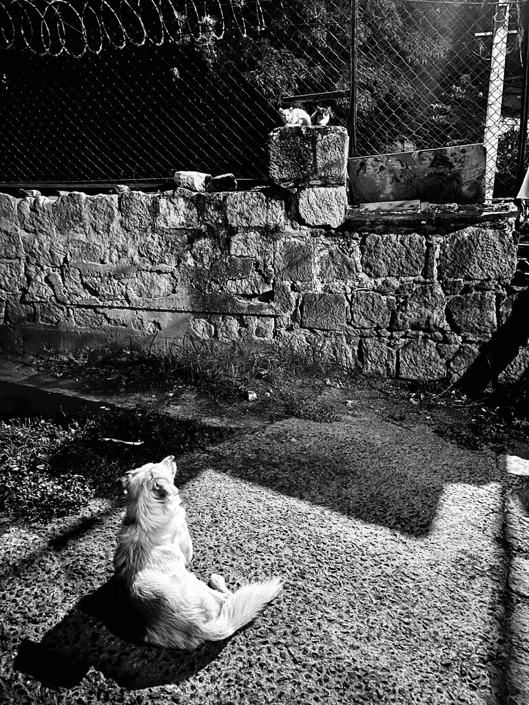 Conversación nocturna. by lsod