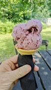 20th Jun 2025 - Blackberry ice cream