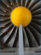 18th Jun 2025 - Propeller Daisy