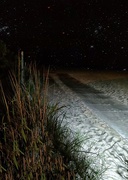 19th Jun 2025 - Starry Night at Cape May