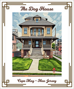 20th Jun 2025 - The Dog House