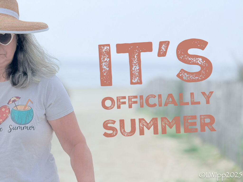Happy Summer Solstice!!!   by lesip