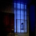 Art in Shadow