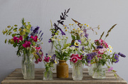 21st Jun 2025 - Informal Display