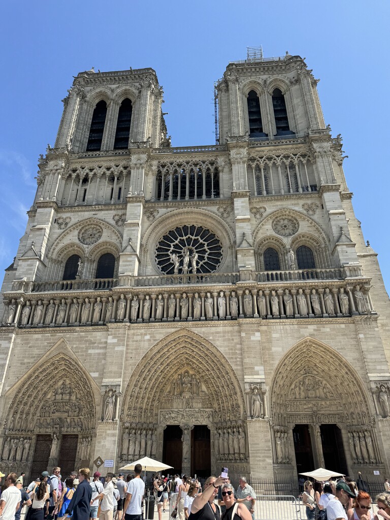 Notre Dame Cathedral  by anataliogmailcom