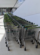 22nd Jun 2025 - Shopping trolleys