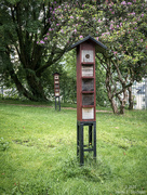 22nd Jun 2025 - Insect hotel