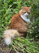 22nd Jun 2025 - Billy