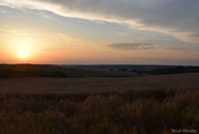 21st Jun 2025 - Longest day of the year