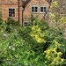 In an English Country Garden 