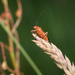 20240630-OM_094445-Edit_365