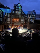 23rd Jun 2025 - Into the woods 