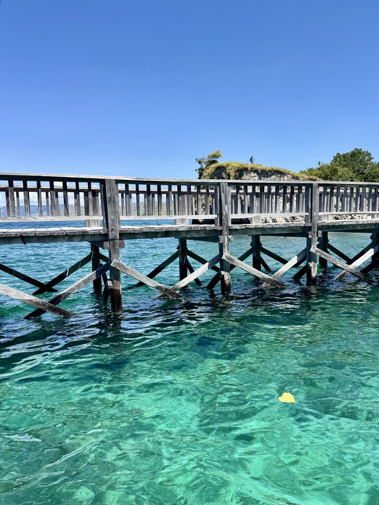 Yellow heart leaf.  by cocobella
