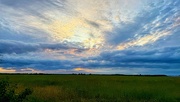 23rd Jun 2025 - Big Sky