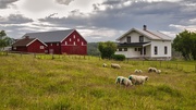 24th Jun 2025 - Farm in Fiskum