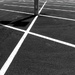 Linea 