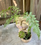 25th Jun 2025 - Summer Hairdo