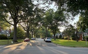25th Jun 2025 - The Golden Hour
