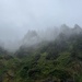 Foggy beach